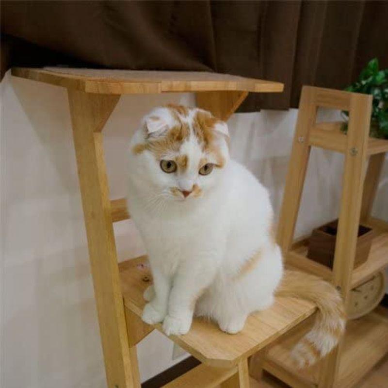 キャティーマン (CattyMan) 木製 猫専用見晴らし台 【公式通販】