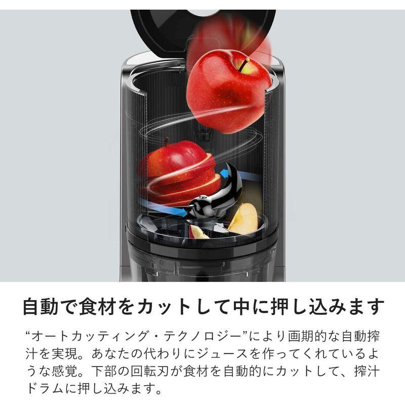 春先取りの ヒューロム スロージューサー H-200(ダークグレー