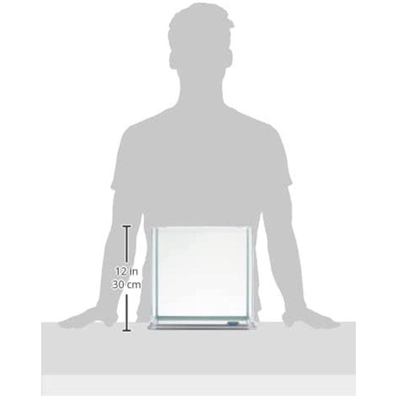 テトラ (Tetra) 水槽 ラウンドグラスアクアリウム300LEDセット 水槽 アクアリウム 熱帯魚 メダカ 金魚 水槽 Tetra ラウンドグラスアクアリウム300LEDセット アクアリウム 熱帯魚 メダカ 金魚