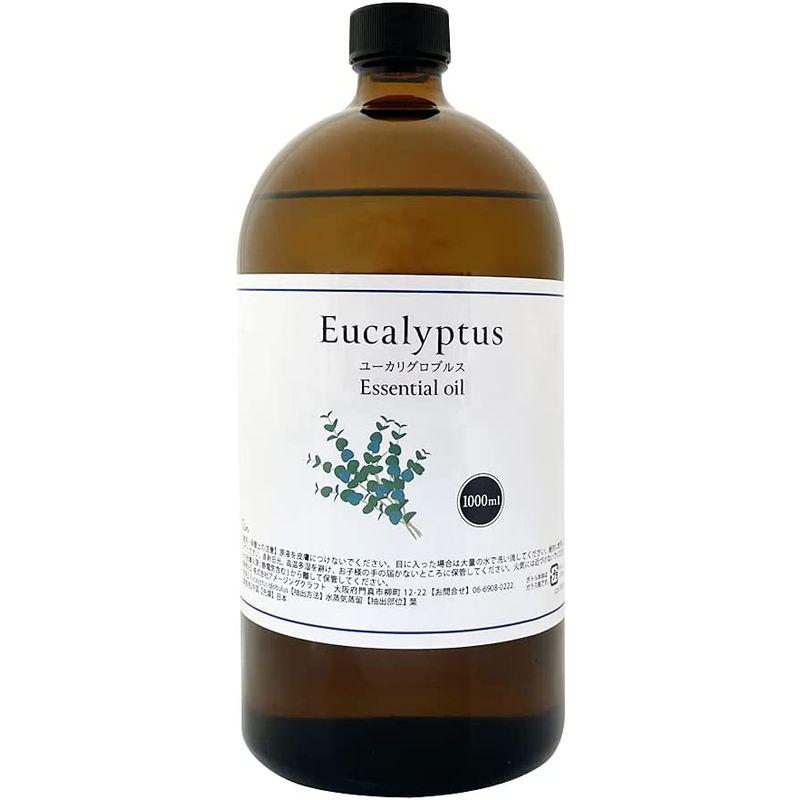 【値下げ・名盤】 ユーカリ グロブルス オイル 1000ml 1L 天然100% アロマオイル ユーカリプタス 【2288234756】(11944円)