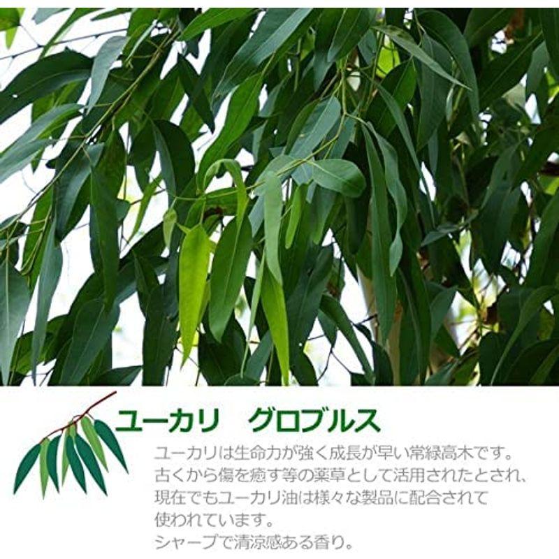 【値下げ・名盤】 ユーカリ グロブルス オイル 1000ml 1L 天然100% アロマオイル ユーカリプタス 【2288234756】(11944円)