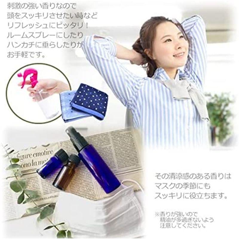 【値下げ・名盤】 ユーカリ グロブルス オイル 1000ml 1L 天然100% アロマオイル ユーカリプタス 【2288234756】(11944円)