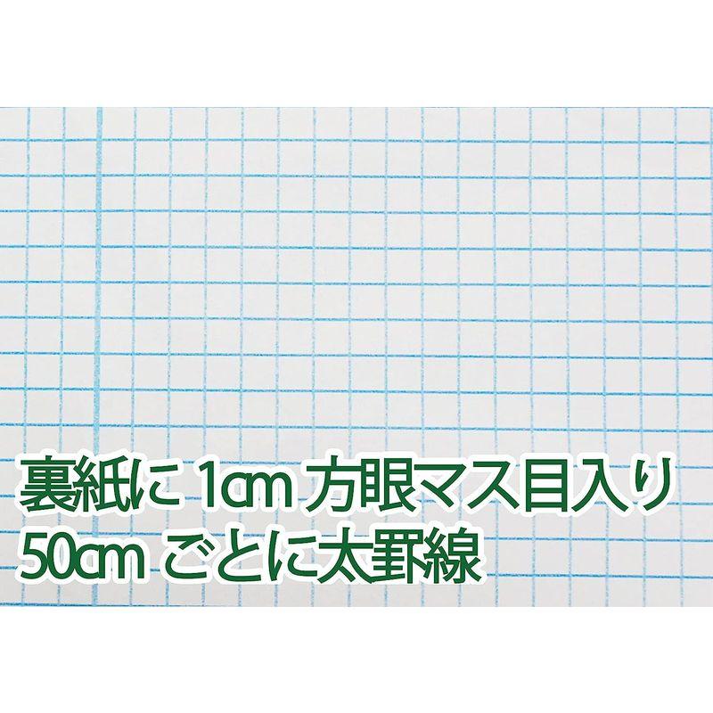 グリーンウィーク ペット壁紙保護シート 90cm×10m (はがせる粘着タイプ 標準) 半透明 壁の傷、汚れ、ペットしつけ、猫ひっかき防止 90cm×10m 半透明 汚れ ペット壁紙保護シート はがせる粘着タイプ 標準 壁の傷 ペットしつけ 猫ひっかき防止