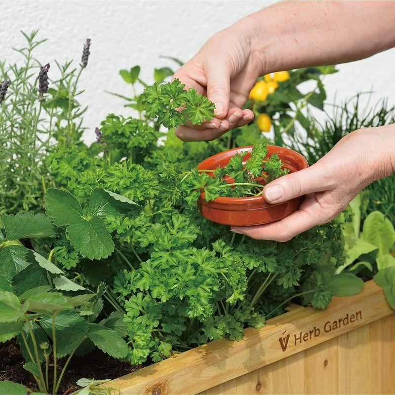 【値下げ中】 タカショー プランター レイズドベッド ハーブプランター WK-07F ナチュラル 鉢 植木鉢 木製 野菜 花 仕切り 【W2754001971】(14381円)