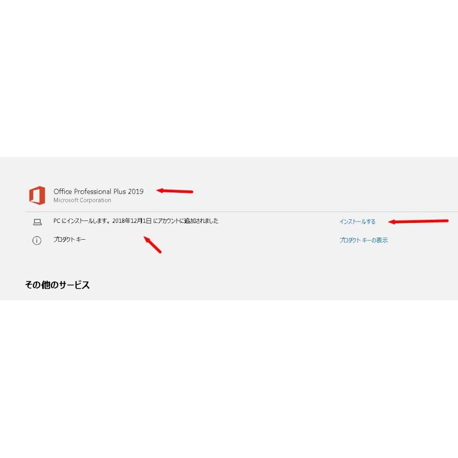 喜ばれる誕生日プレゼント Plus Professional 2019 Office Microsoft 最新 日本語 永続 再インストール  プロダクトキー 2PC 安心安全マイクロソフト公式サイトからのダウンロード ビジネスソフト（コード販売）