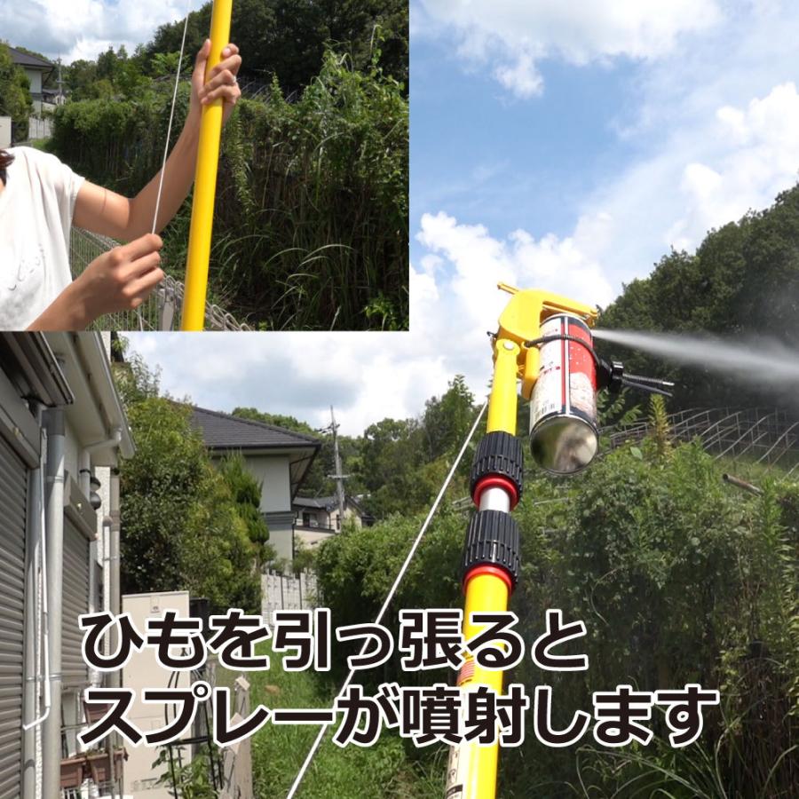 蜂の巣 クモの巣駆除 エアゾール延長キット エアロング 高所スプレー器 1.2m〜3.6m 鳥忌避剤散布 ※代引 返品不可の画像
