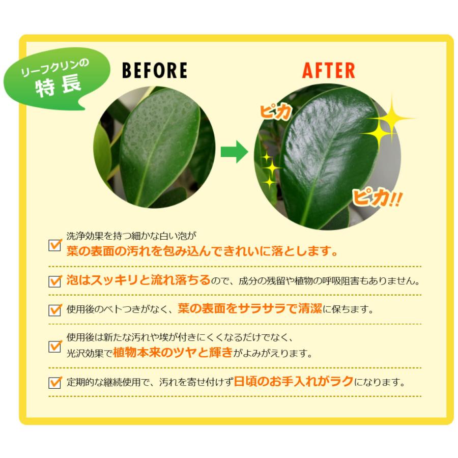 住友化学園芸 葉面洗浄剤 リーフクリン10 業務用 2L×5本 葉 汚れ 住友化学園芸 葉面洗浄剤 リーフクリン10 業務用 2L×5本 葉 汚れ