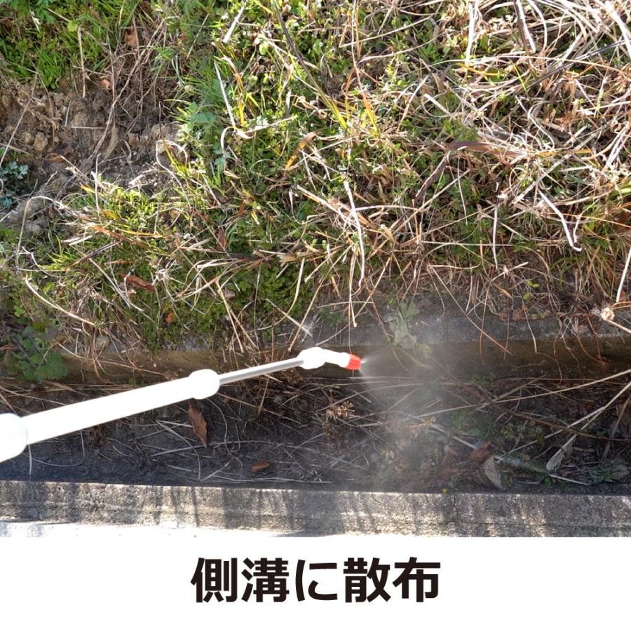 蚊 駆除 レナトップ水性乳剤2 1000ml×6本 殺虫剤 ゴキブリ ハエ 退治 ダニ ノミ 対策 伝染病媒介 蚊 対策 防除用医薬部外品_9
