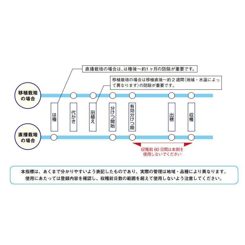 ジャンボタニシ防除剤 殺虫剤 スクミノン 2kg 8袋 農薬 メタアルデヒド粒剤 稲 れんこん スクミリンゴガイ対策 害虫駆除 忌避剤 Onomade Net