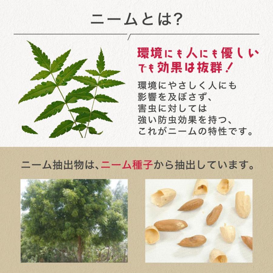 虫よけ 食品 天然防虫剤 プチッとニーム 3ml×20個 精米工場 貯穀倉庫 貯穀害虫用 予防 コクゾウムシ メイガ 対策 コクヌストモドキ ニーム お米 ゾウムシ 害虫の画像
