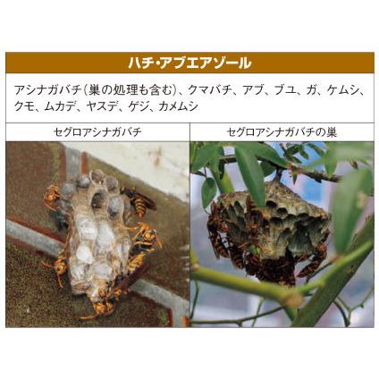 住友化学園芸 ハチ アブエアゾール 480ml×24本 蜂防除 スプレー 住友化学園芸 ハチ アブエアゾール 480ml×24本 蜂防除 スプレー
