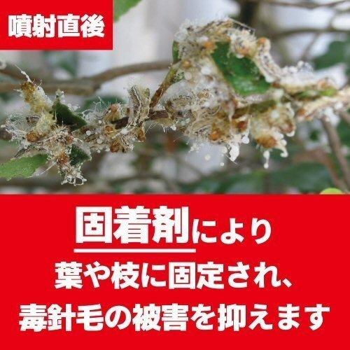 感謝価格 ケムシ チャドクガ駆除 防除剤 チャドクガ毒針毛固着剤 180ml 30本 ケース 毛虫 毒針 飛散 スプレー 送料無料 残りわずか Theblindtigerslidell Com