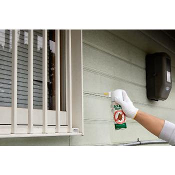 カメムシ 駆除 カメムシコロパー 420ml×30本「SES」 かめむし 防除 スプレー 強力 殺虫剤 業務用 退治 防除 クサギカメムシの画像