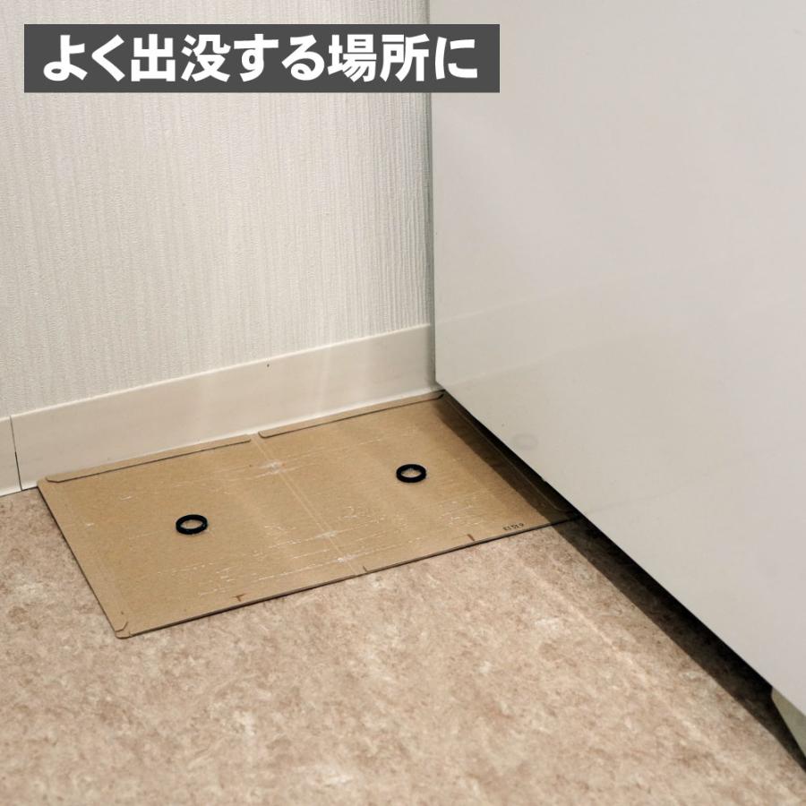 ネズミ 駆除 ネズミ粘着シート 業務用ネズミ捕り EL 100枚 ネズミ捕りシート 鼠 ねずみ とりもち 効果 設置 | イーライフ | 08