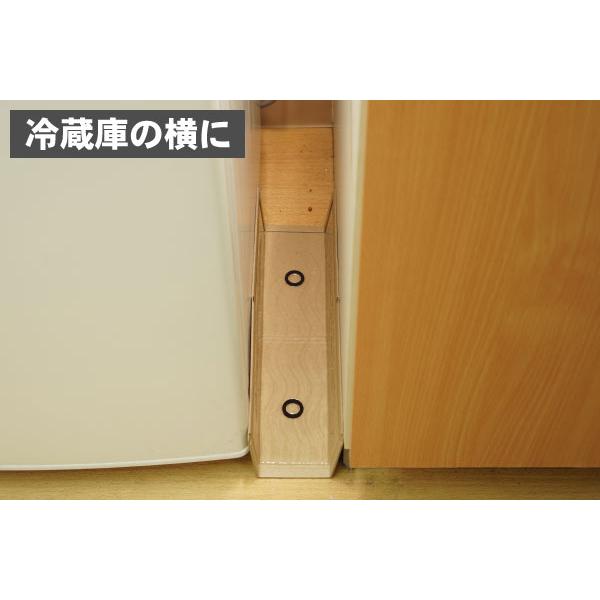 ねずみ 駆除 ネズミ粘着シート 業務用ネズミ捕り EL 100枚×2箱 ネズミ捕りシート 鼠 捕獲 ねずみ とりもち 効果 設置 | ブランド登録なし | 05