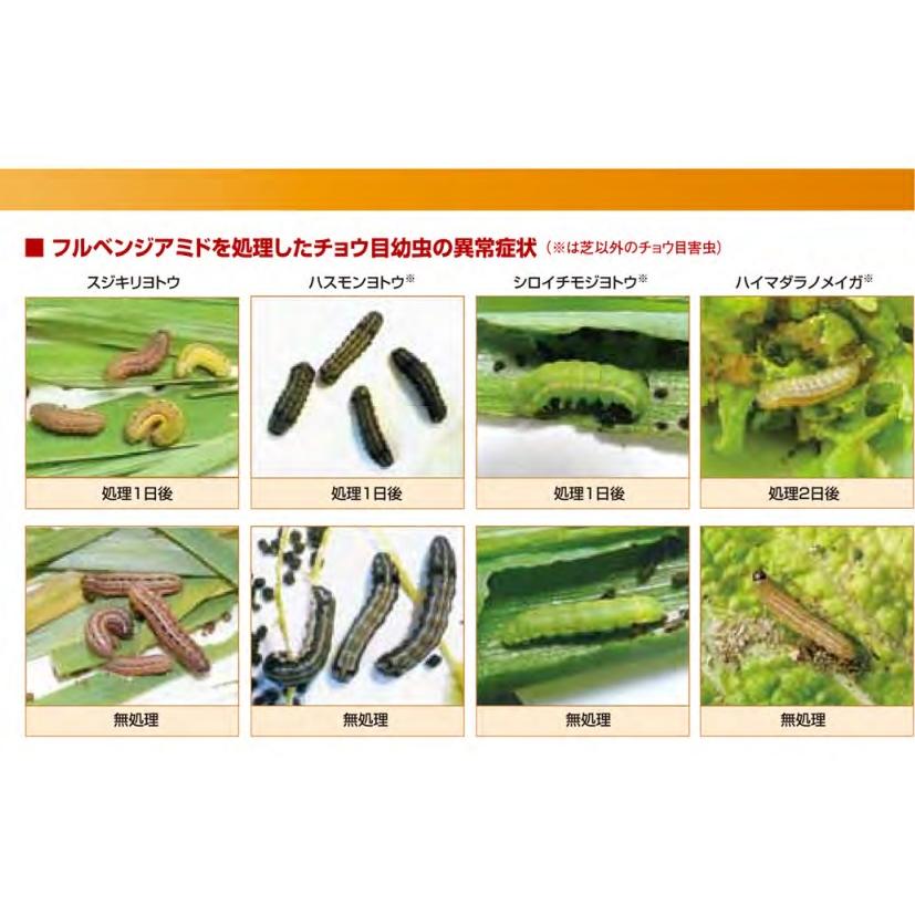 芝 樹木用殺虫剤 スティンガーフロアブル 250ml×2個 ニチノー緑化 農薬 散布 ケムシ類 スジキリヨトウ シバツトガ タマナヤガ 毛虫 樹木の画像