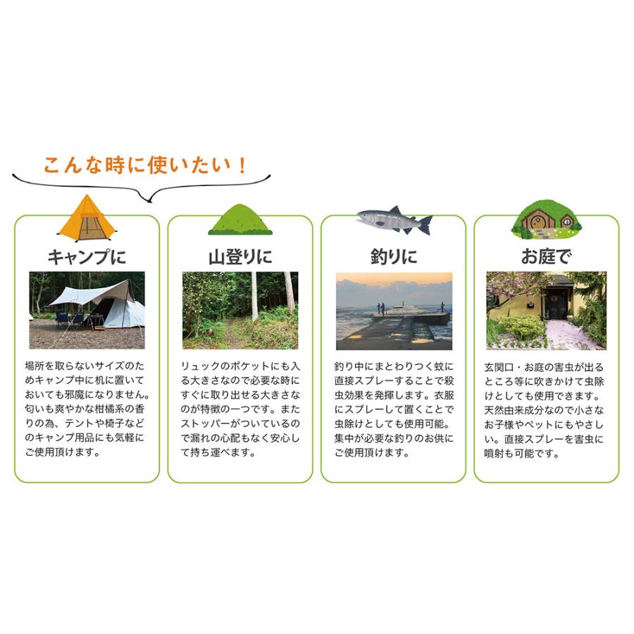 携帯用 ピレカロール 110ml×3本 トコジラミ ハエ 蚊 イエダニ ノミ キャンプ 海外旅行 山登り 防除用医薬部外品 | ブランド登録なし | 02