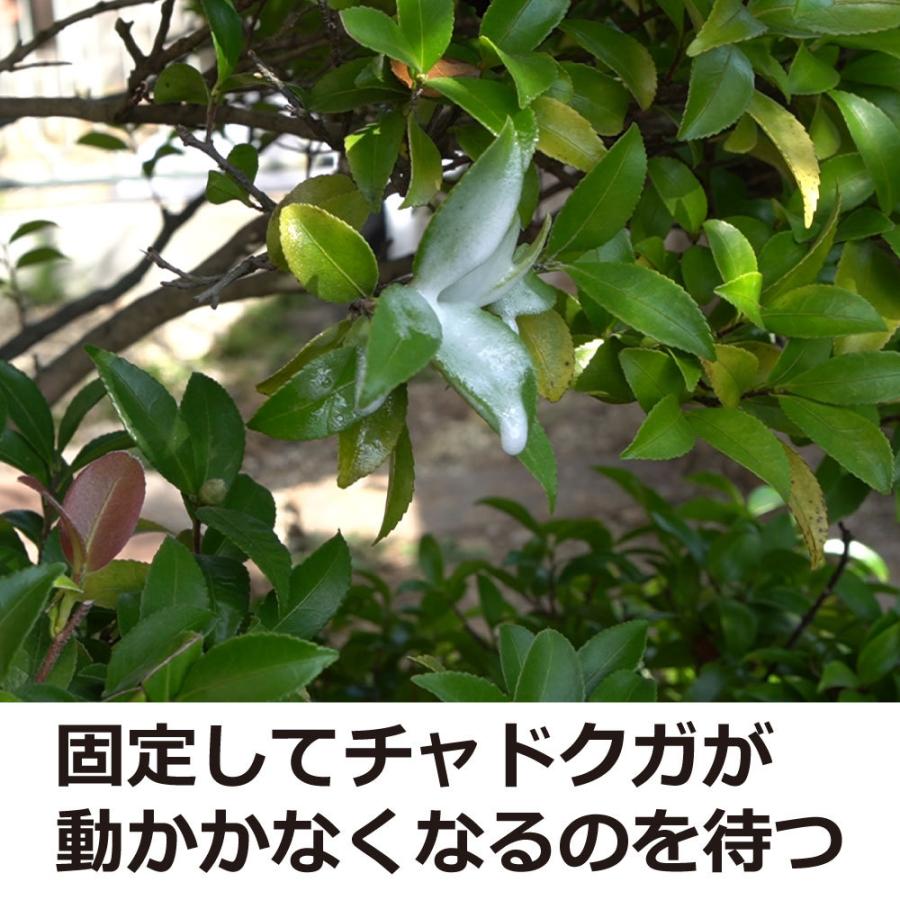 チャドクガ 駆除 防除剤 チャドクガ毒針毛固着剤 180ml 3本 毛虫 退治 飛散防止 Diy 自分で出来る害虫駆除 通販 Yahoo ショッピング