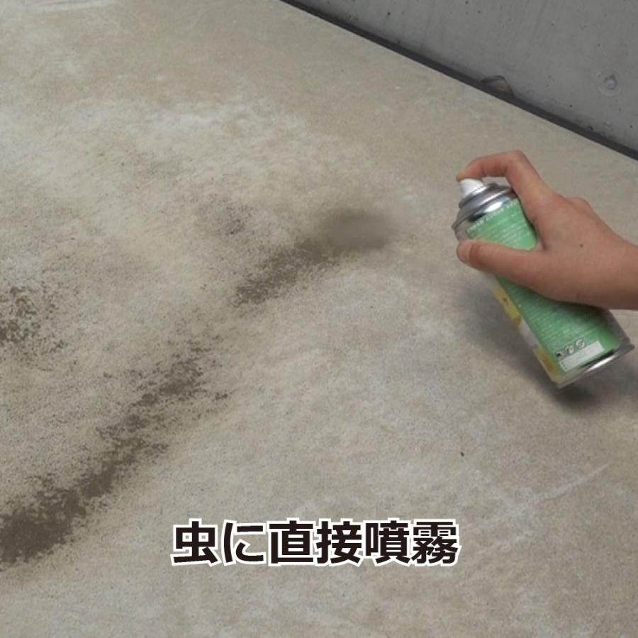 チョウバエ タカラダニ駆除 天然除虫菊ムシロック スプレー300ml 6本 カメムシ Diy 自分で出来る害虫駆除 通販 Yahoo ショッピング