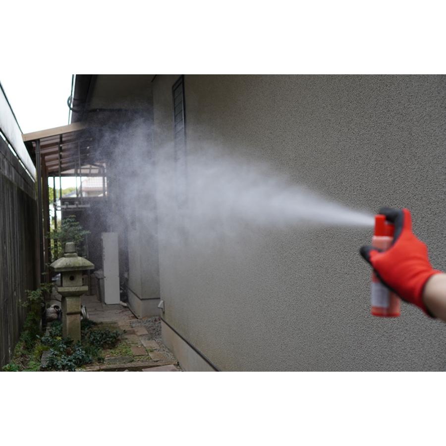 スズメバチ 駆除 ハチノックS 100ml×10本 蜂用スプレー蜂襲撃時 避難用 ハイキング 登山携帯用 | ブランド登録なし | 02