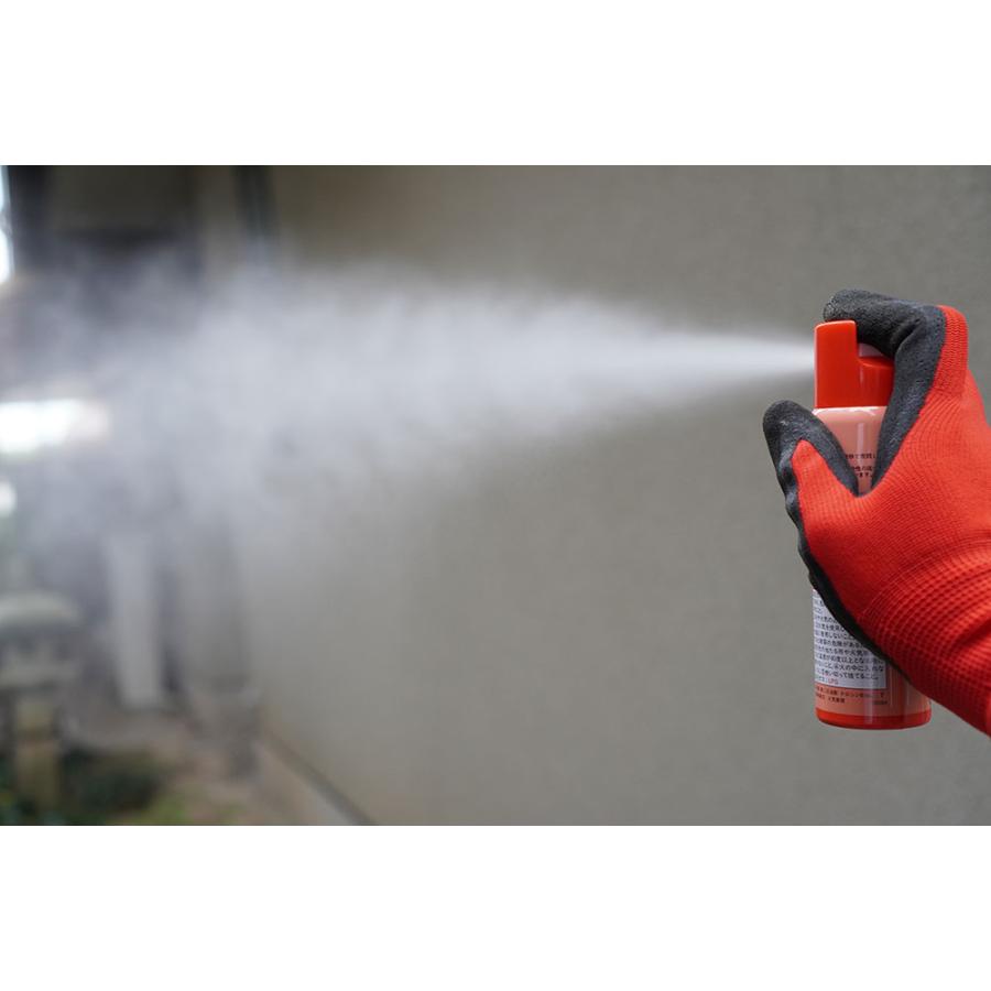 スズメバチ 駆除 ハチノックS 100ml×10本 蜂用スプレー蜂襲撃時 避難用 ハイキング 登山携帯用 | ブランド登録なし | 03