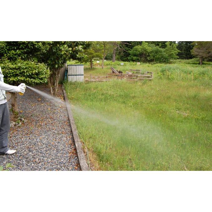 ヘビレス毒蛇スプレー 300ml×10本 毒蛇専用殺蛇剤 | ブランド登録なし | 01