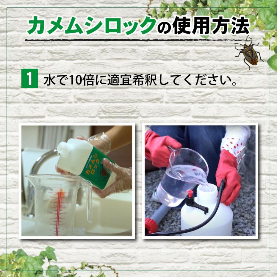 カメムシ専用殺虫剤 カメムシロック 1L + 蓄圧式噴霧器 4L カメムシ専用殺虫剤 カメムシロック 1L + 蓄圧式噴霧器 4L