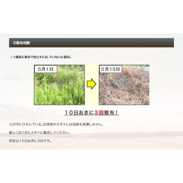 除草剤 サンフーロン液剤 5.5L 大成農材 5L ＋ 500ml×1本セット 雑草 対策スギナ 竹 ササ 枯らす クズ つる 農薬 | 大成農材 | 05