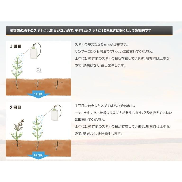 除草剤 サンフーロン液剤 5.5L 大成農材 5L ＋ 500ml×1本セット 雑草 対策スギナ 竹 ササ 枯らす クズ つる 農薬 | 大成農材 | 06