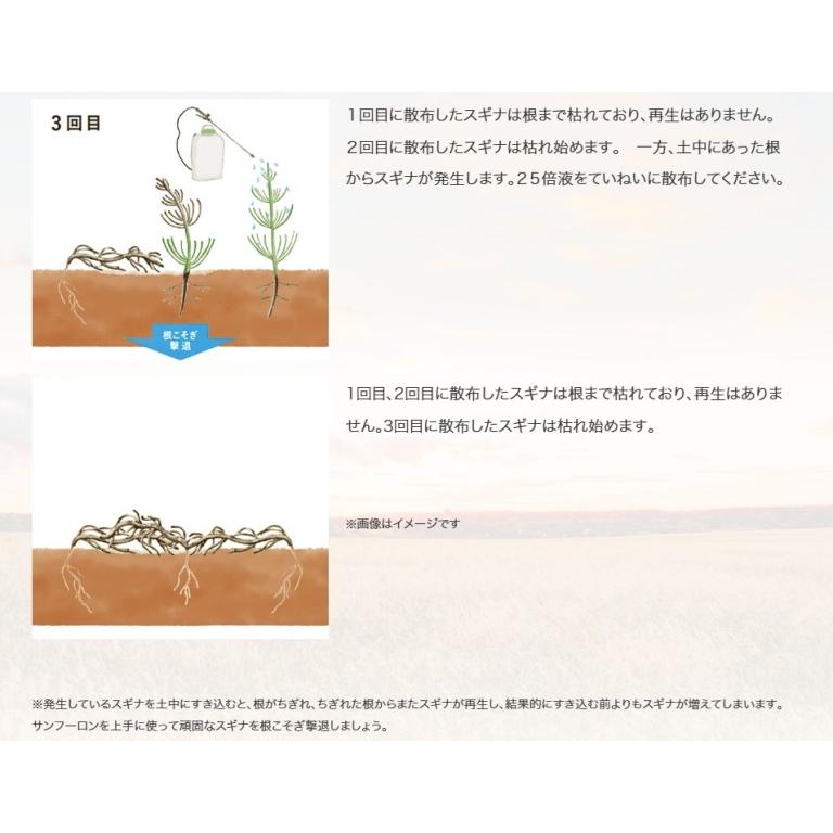 除草剤 サンフーロン液剤 5.5L 大成農材 5L ＋ 500ml×1本セット 雑草 対策スギナ 竹 ササ 枯らす クズ つる 農薬 | 大成農材 | 07