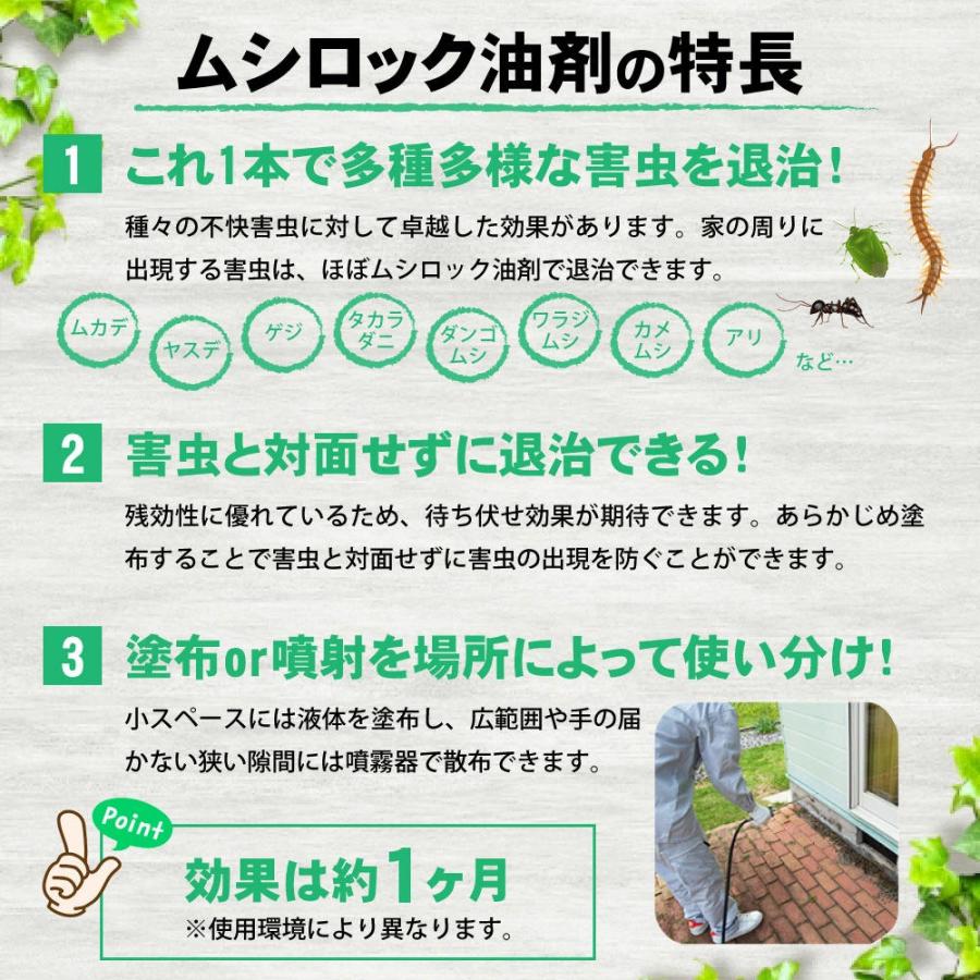 ムカデ 駆除 カメムシ 駆除 ムシロック油剤 4L＋蓄圧式噴霧器4Lセット 業務用 殺虫剤 低臭性 カメムシ 退治 待ち伏せ効果 屋外用 ヤスデ タカラダニ 赤ダニ 駆除 | イーライフ | 01