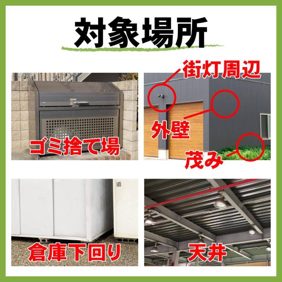 ムカデ 駆除 カメムシ 退治 サイベーレ0.5SC 900ml 小型 2L 噴霧器セット 計量カッププレゼント カメムシ カマドウマ コバエ 業務用 殺虫剤 噴霧用 退治 | ブランド登録なし | 10