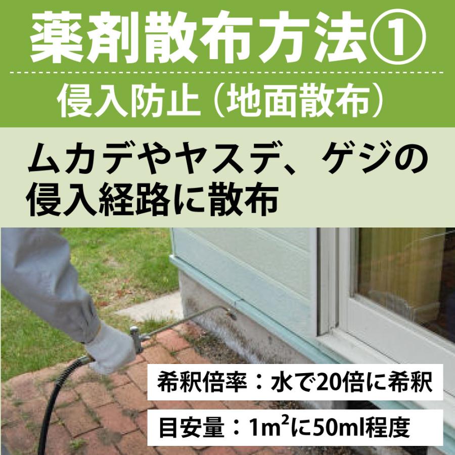 ムカデ 駆除 カメムシ 退治 サイベーレ0.5SC 900ml 小型 2L 噴霧器セット 計量カッププレゼント カメムシ カマドウマ コバエ 業務用 殺虫剤 噴霧用 退治 | ブランド登録なし | 11