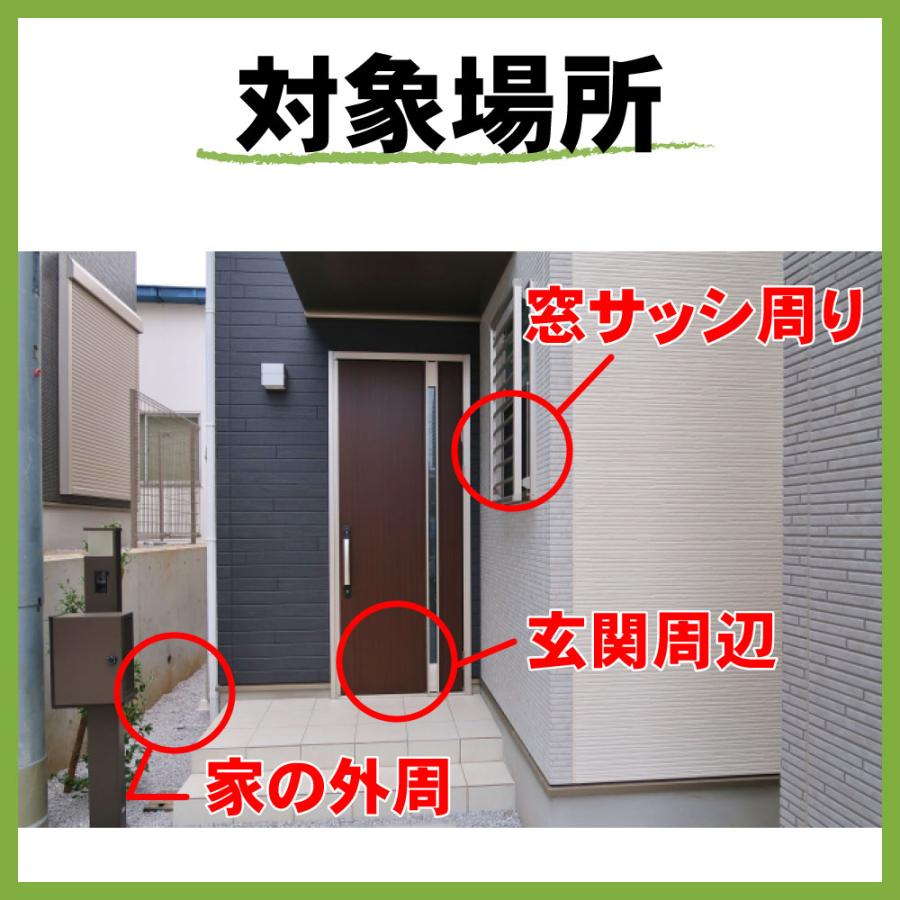 ムカデ 駆除 カメムシ 退治 サイベーレ0.5SC 900ml 小型 2L 噴霧器セット 計量カッププレゼント カメムシ カマドウマ コバエ 業務用 殺虫剤 噴霧用 退治 | ブランド登録なし | 09