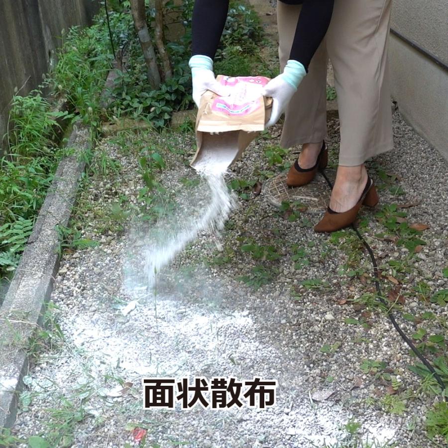 シャットアウトSE 3kg袋×3袋サンプラー 散粉器付き ムカデ ヤスデ ゲジゲジ 駆除 侵入防止 持続性粉末殺虫剤 ムカデシャットアウト 送料無料_3