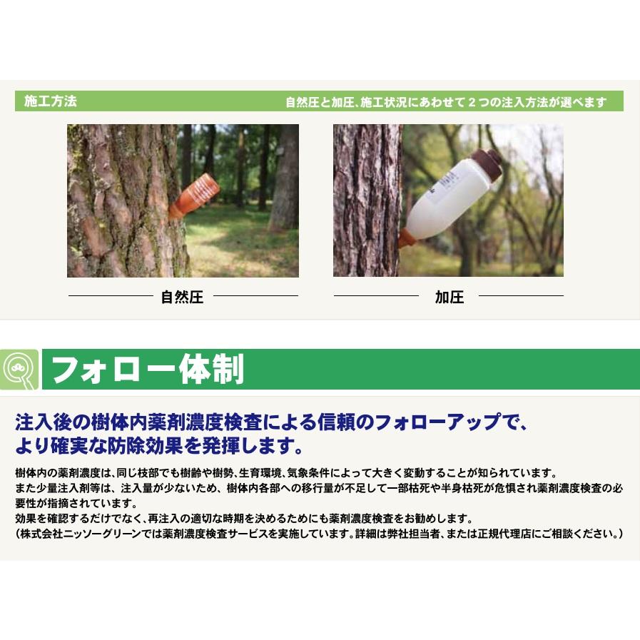 樹幹注入剤 グリンガードNEO 加圧注入セット 薬剤10本 加圧ボトル3個 専用ガスボンベ4個 農薬の画像