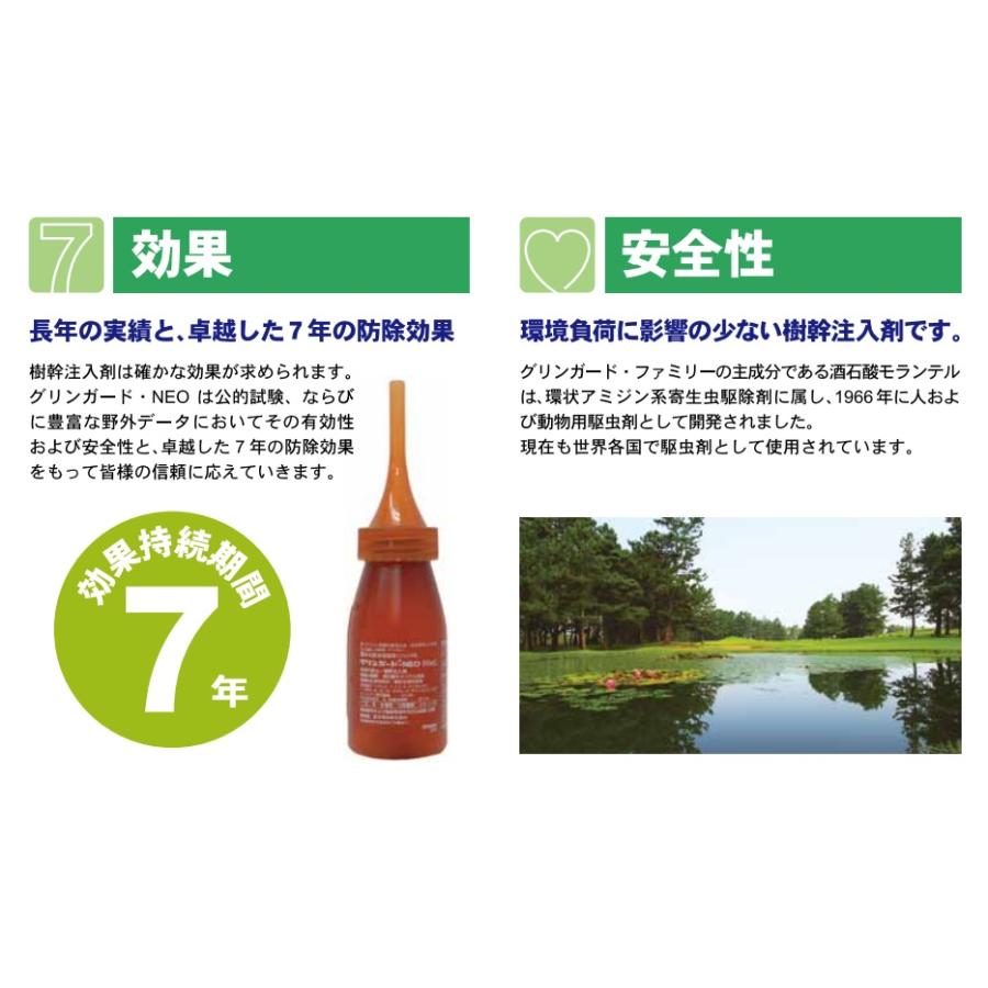樹幹注入剤 グリンガードNEO 加圧注入セット 薬剤10本 加圧ボトル3個 専用ガスボンベ4個 農薬の画像
