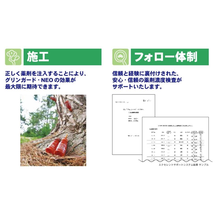 樹幹注入剤 グリンガードNEO 加圧注入セット 薬剤10本 加圧ボトル3個 専用ガスボンベ4個 農薬の画像