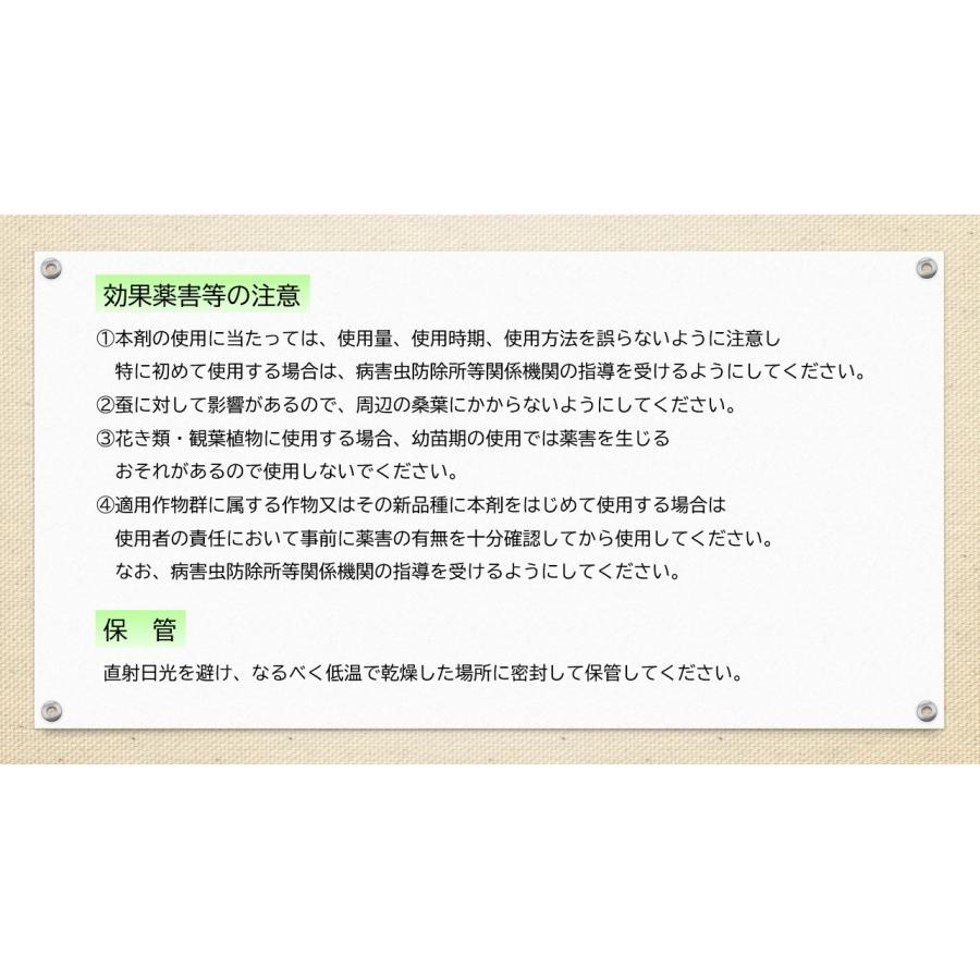 アブラムシ 対策 ダイリーグ粒剤 1.5kg 農薬 カイガラムシ 駆除 グンバイムシ 殺虫剤 ゴマダラカミキリ 庭木 サカキ 観葉植物 | ブランド登録なし | 11