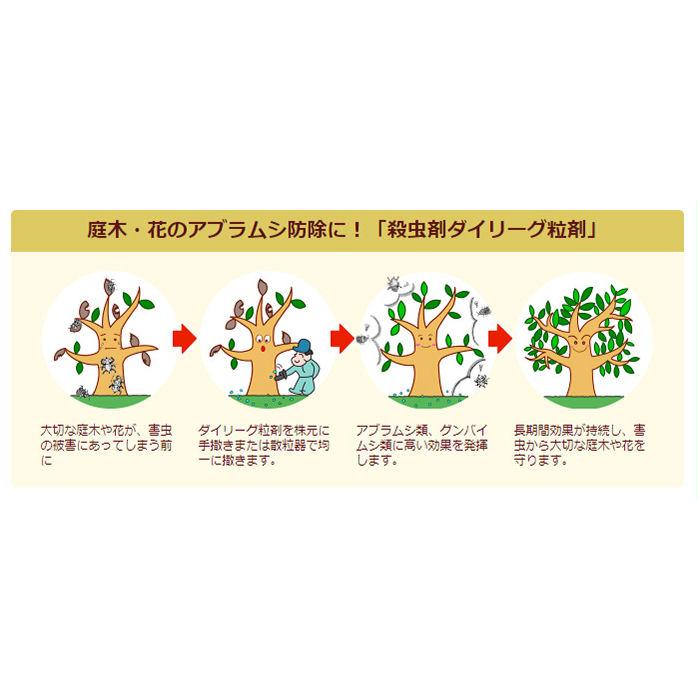 アブラムシ 対策 ダイリーグ粒剤 1.5kg 農薬 カイガラムシ 駆除 グンバイムシ 殺虫剤 ゴマダラカミキリ 庭木 サカキ 観葉植物 | ブランド登録なし | 01
