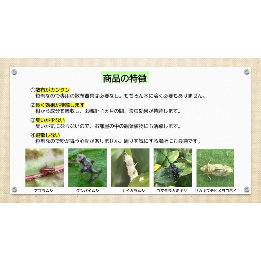 アブラムシ 対策 ダイリーグ粒剤 1.5kg 農薬 カイガラムシ 駆除 グンバイムシ 殺虫剤 ゴマダラカミキリ 庭木 サカキ 観葉植物 | ブランド登録なし | 02