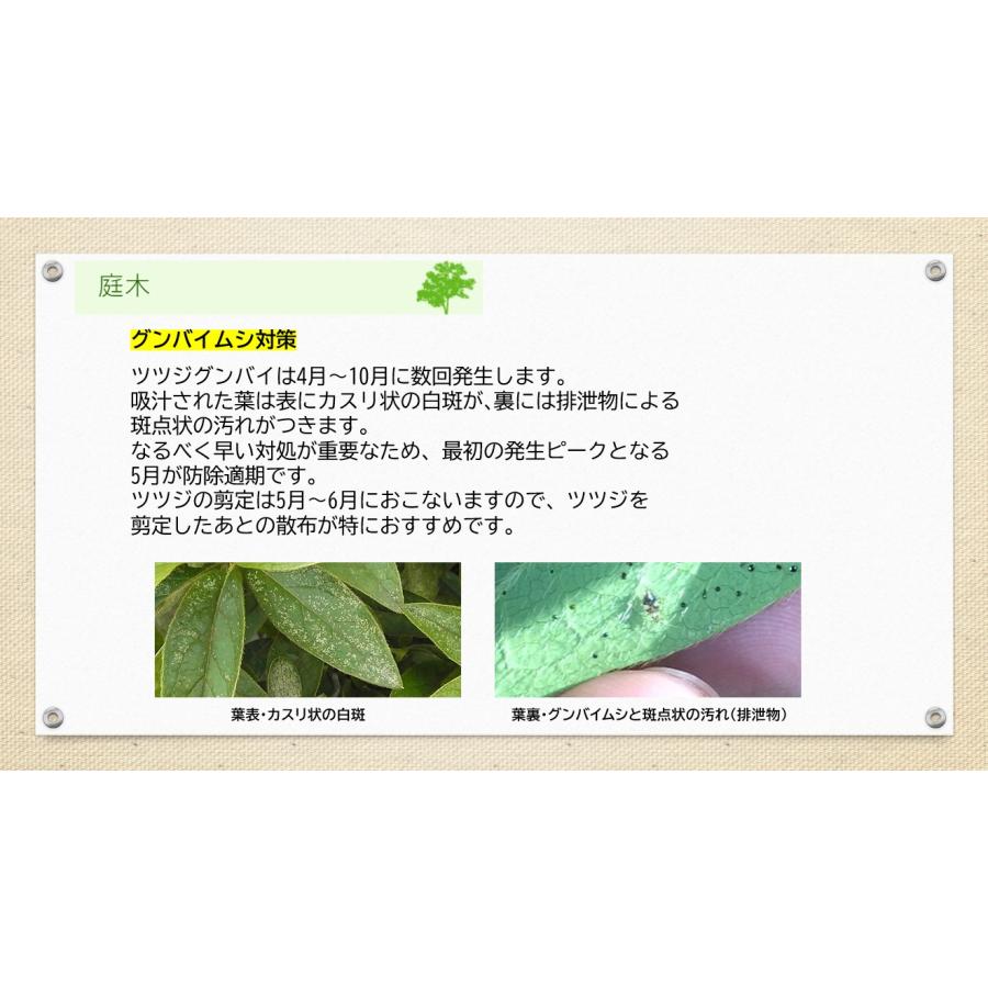 アブラムシ 対策 ダイリーグ粒剤 1.5kg 農薬 カイガラムシ 駆除 グンバイムシ 殺虫剤 ゴマダラカミキリ 庭木 サカキ 観葉植物 | ブランド登録なし | 06