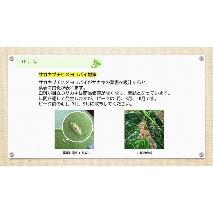 アブラムシ 対策 ダイリーグ粒剤 1.5kg 農薬 カイガラムシ 駆除 グンバイムシ 殺虫剤 ゴマダラカミキリ 庭木 サカキ 観葉植物 | ブランド登録なし | 07