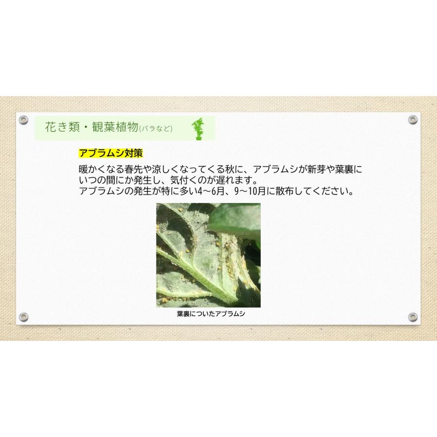 アブラムシ 対策 ダイリーグ粒剤 1.5kg 農薬 カイガラムシ 駆除 グンバイムシ 殺虫剤 ゴマダラカミキリ 庭木 サカキ 観葉植物 | ブランド登録なし | 08
