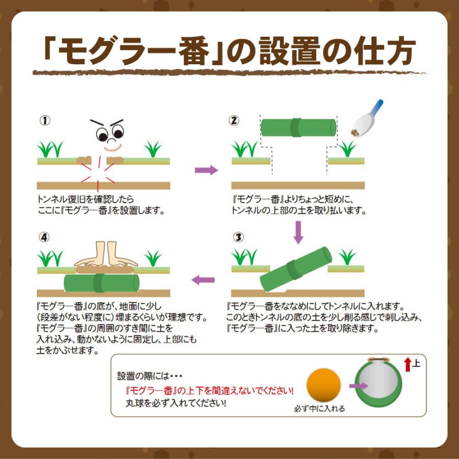 タイガー（TIGER） モグラ対策 モグラ一番 2セット入 両面扉式 モグラ