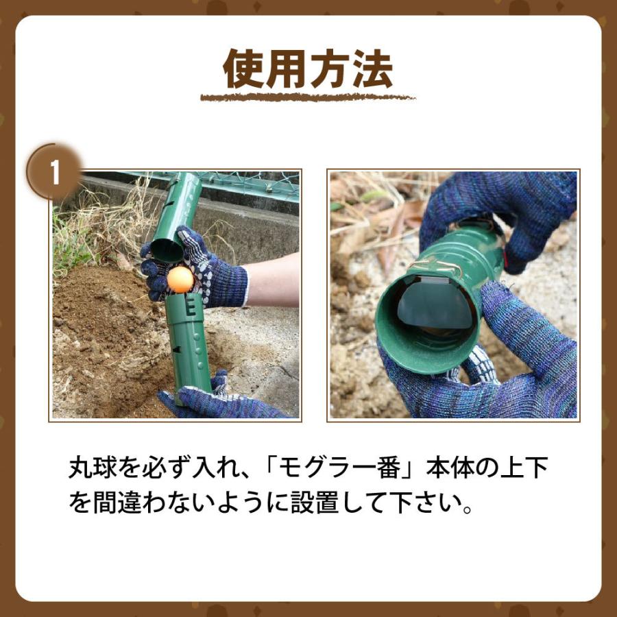 タイガー（TIGER） モグラ対策 モグラ一番 2セット入 両面扉式 モグラ