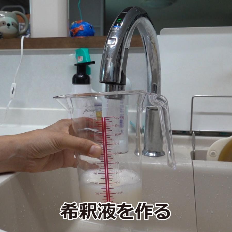 蜘蛛 の 巣 対策