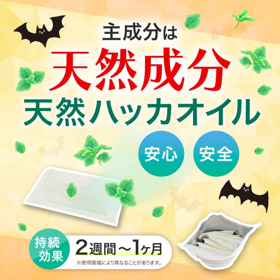 グッバイコウモリ 16g×10袋入 こうもり ハッカ 侵入防止 天然成分