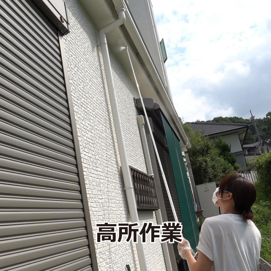ハチの巣退治 ハチローFH 高所噴射用延長ノズル : DIY 自分で出来る