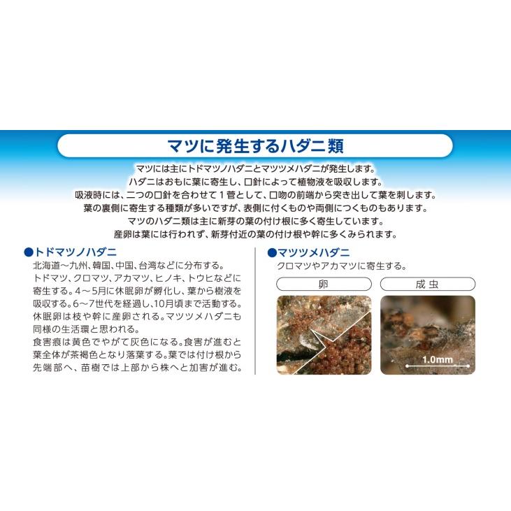 エムシー緑化 ハダニ類 対策 効果 マツガード 60ml 松枯れ 防止 マツノ